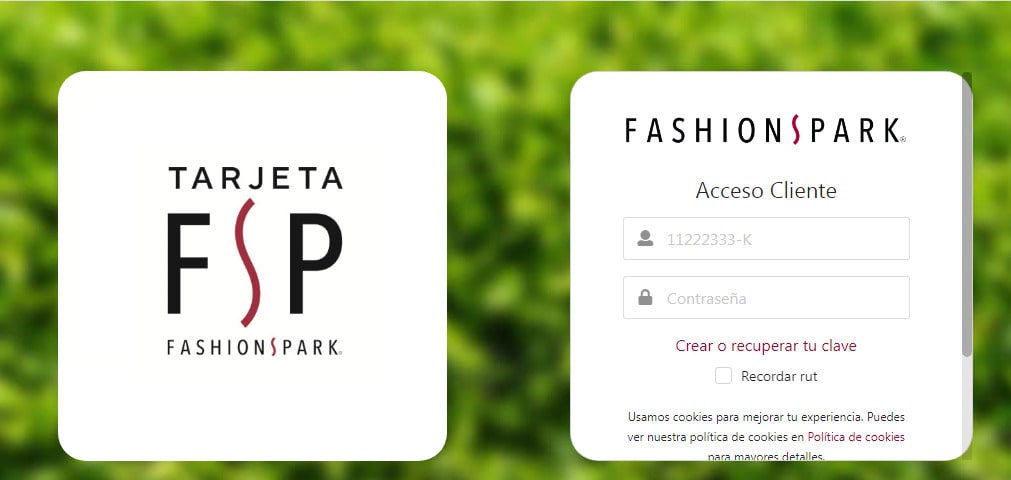 Cómo consultar el estado de cuenta Fashion Park por internet 2